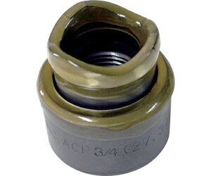 c쏊 |dǗp~lWn TP-ACP22 1g