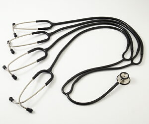 tH[JR[|[V tH[Jg[@xCVXS@GfP[ViXR[v@4lp basis S educational scope 1{