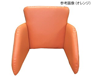 ケアリング ケア・ホールドクッション オレンジ TC001 1個