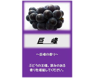 アサヒ商会 アサヒ入浴剤 巨峰 10kg 1箱