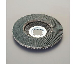 �A�Y���� �t���b�v�f�B�X�N�i�W���R�j�A/X-LOCK�j�@#36/100mm EA809AL-163 1��