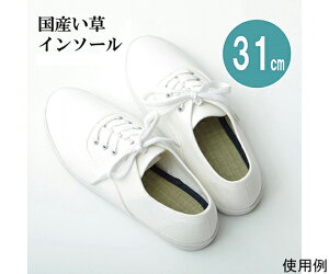 MR[|[V XNuWPbgifB[Xj@lCr[×R[@LL R8947-13 1