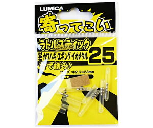 ~J Ă@gXeBbN25 A20215 1Zbg