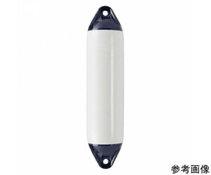 �A�Y���� 100729�@PolyformUS�@�t�F���_�[�@18×50�C���` F-10White 1�{