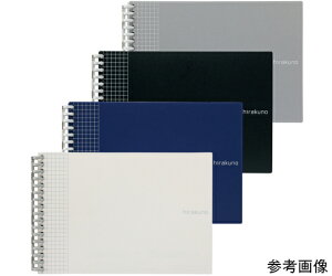 LIHITLAB hirakunocCXgm[gA5E@Vo[ N-1675-26 1