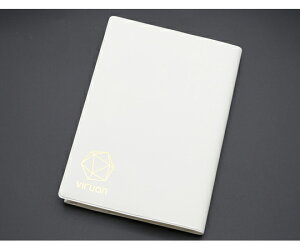 ^CwC EBAR@ɖ{Jo[@10 4729V2 1g(10)