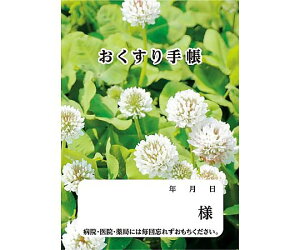 _CI[veBO 蒠 N[o[ 40P 50 59353 1pbN(50)
