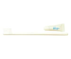 T[AjeB uVܓ 250{ 220231 1(250{)