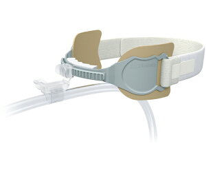 AY AJ[t@Xg@XtBbg 29787 1(12Zbg)