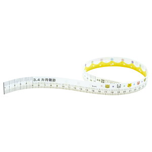 Cg} fBX|[Uuxr[W[iCocoMedi@cfpW[@j3 4p@300 1{(300)