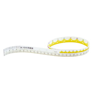 Cg} fBX|[Uuxr[W[iCocoMedi@cfpW[@j9 10p@300 1{(300)