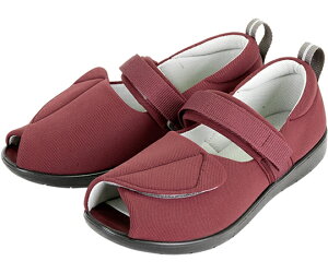 IITLfBJ PH]тɂV[YܐȂ@C@M 71421 1