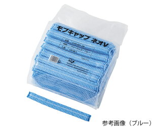 fBebNWp uLbv@lIV@ubN@2000 CAP-001-2BL 1P[X(100×20ܓ)