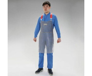 AY Gv(ƗpEXeX)@80×55cm EA355AS-11 1