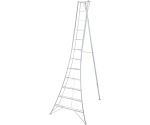 長谷川工業 グリーンステップ GSC型 12段 3.6m(17852) GSC-360A 1台