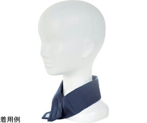 gXRR ЂlbNN[[ lCr[ TWNC-NV 1