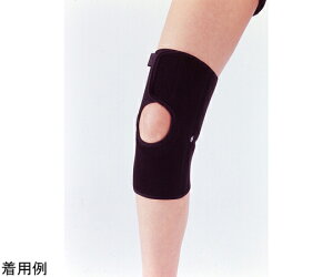 R{wH oCIo[GAh[T|[^[Ђp L BRA-SP-LJ 1