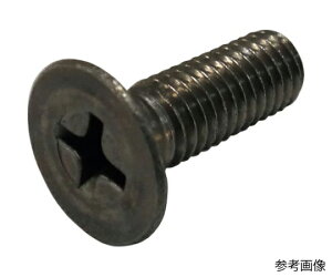 RmG A^XN[ M˂ ALLOY600 M2x12 5{ FLATSS-ALLOY600-212 5{