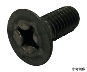 RmG M˂ `^ M6x10 10{ FLATSS-TI-610 10{