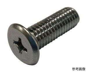 コノエ (+)スリムヘッド小ねじ ステンレス 6×10 20本入 SHSS-SUS-610 20本入