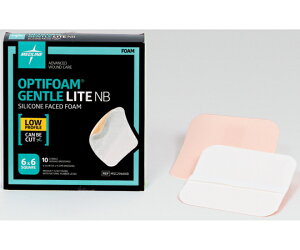 jgY IveBtH[ WFgLite NB 15×15cm 10×10 1P[X(10×10)