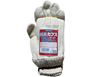 ӂ 100JtX SP-153 1Zbg(12)