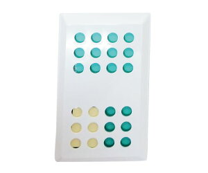 gLnY CphJr܁@O[n[u 1