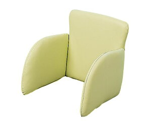 ItBXE{ s^bgNbVi̊T|[gNbVj@O[ PT-CS GR 1