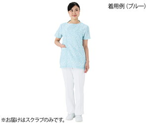 d fB[XXNu@zCZ@u[@4L WH11595 1