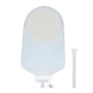 yېŁz APA oCI[R@X[p[@B@10 12481 1(10)