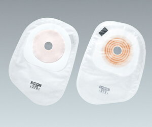 yېŁz APA vPA[R1EvJbgC 45 10 14196 1(10)