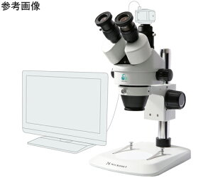 }CNlbg C}EgY[̌ OC YS03C 1