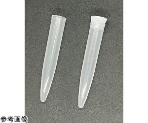 O[oTCGX PPԃXsbc 10^ ŋۍ 25{×40 12720 1(25{×40ܓ)