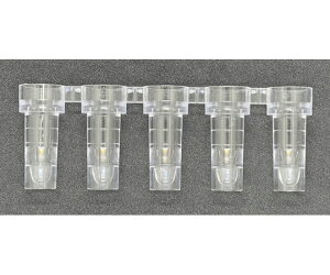 O[oTCGX 5ApTvJbv 600 51213 1(600)