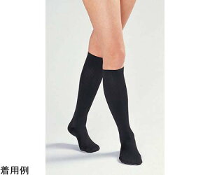 VO}bNX eXgbLO CVXgbLO Cg G\bNX  L 525003 1