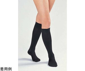 VO}bNX eXgbLO CVXgbLO m[} G\bNX  M 526002 1