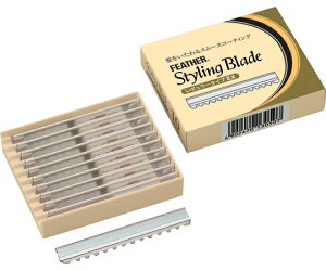 tFU[S䓁 tFU[ X^COuCh@EX 10×5 1(10)