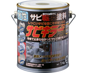 BAN-ZI �T�r�L���[PRO�@1kg A-SKP/K01S 1��