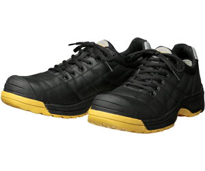 hP SC _CiXeB v Ђ ubN 29cm DYPR-22 1