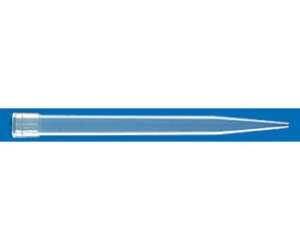 [PTCGX p`bv 250L 100{×20ܓ AYS-008 1(100{×20ܓ)