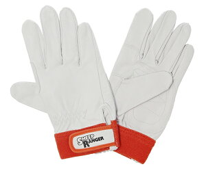 xmO[u V[vCW[t L RM-702 1