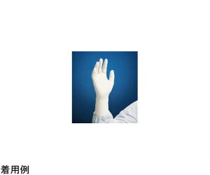  LeNsA G3zCgjgO[u XS 1000 HC61010 KTPWG3XS 1(100×10ܓ)
