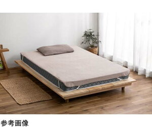 ACXI[} hV[c x[W FLS-TCST-SD 1