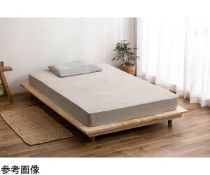 ACXI[} h{bNXV[c x[W BXS-TCST-S 1