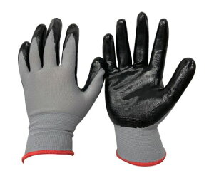 Ag jgSw 10og S BP147 S 1g(10o)