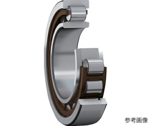 ���{�G�X�P�C�G�t �P��~�����뎲�� NU�^ ���a85mmX�O�a150mmX��36mm NU 2217 ECP 1��