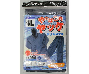 Y ςꃄbP|GXe㉺ lCr[4L #9600 1