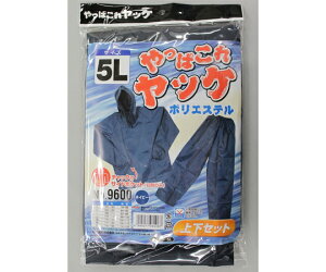 Y ςꃄbP|GXe㉺ lCr[5L #9600 1