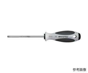 KIRCHHOFF Witte XeXhCo[ T25×100 73209 1{