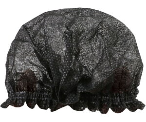 A[ebN ĝĕsDz}CNJo[i100j 52485 1